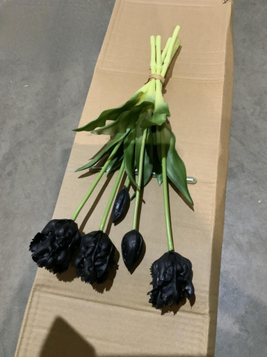 Тюльпаны бахромчатые, букет 5 шт. - черный