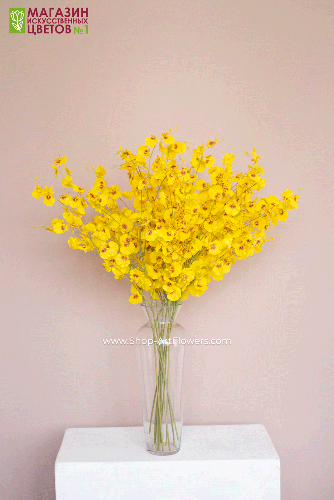 Орхидея Онцидиум - желтый