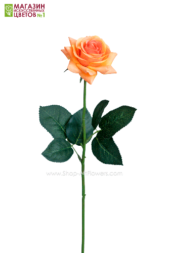 Роза малая - оранжевый