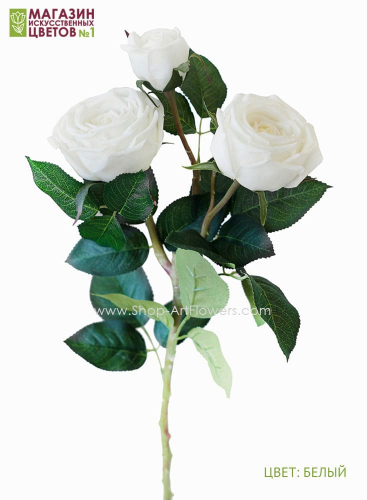 Роза пионовидная 3 бутона - белый