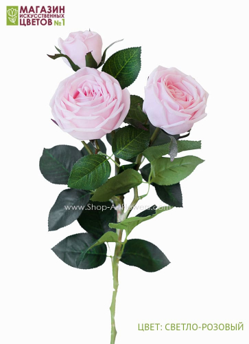 Роза пионовидная 3 бутона - светло-розовый