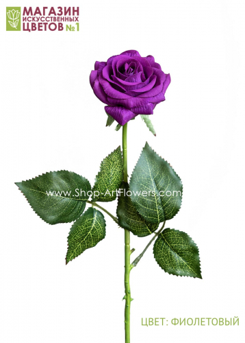 Роза малая - фиолетовый