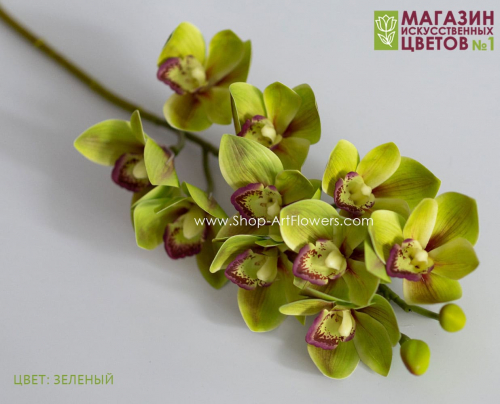 Орхидея Цимбидиум 3D - зеленый