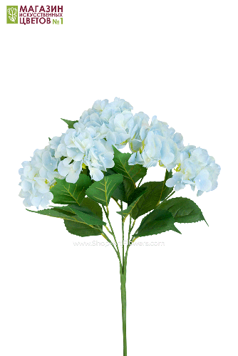 Гортензия куст (5 соцветий) - 11 расцветок - светло-голубой