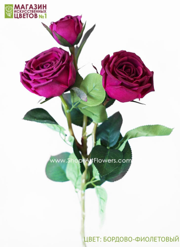 Роза пионовидная 3 бутона - бордово-фиолетовый