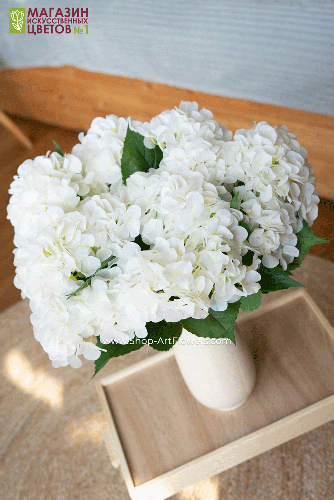 Гортензия куст (5 соцветий) - 11 расцветок - белый
