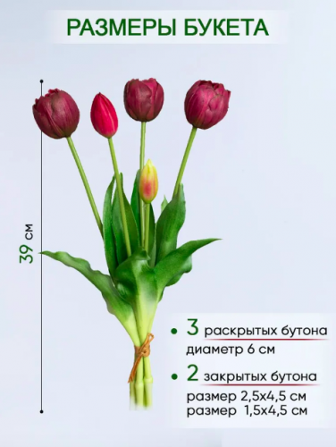 Букет тюльпанов 5 шт. (3 бокаловидных + 2 закрытых) (фиолетовый)