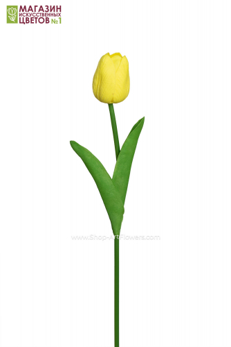 Тюльпан закрытый - желтый
