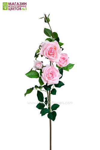 Роза 5 бутонов - светло-розовый