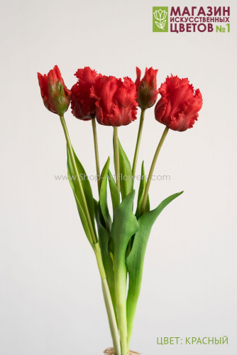 Тюльпаны бахромчатые, букет 5 шт. - красный