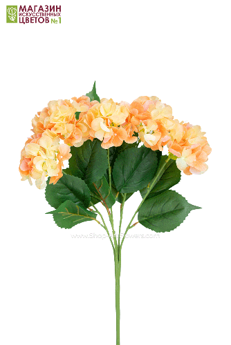 Гортензия куст (5 соцветий) - 11 расцветок - персиковый