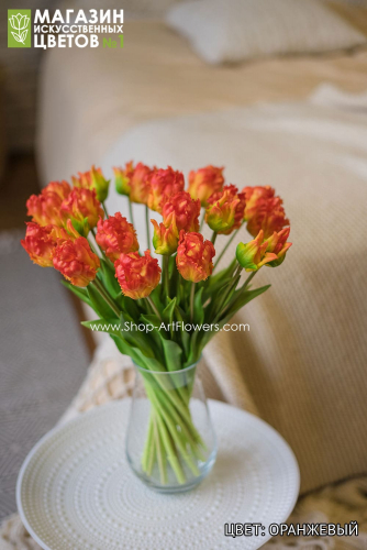 Тюльпаны бахромчатые, букет 5 шт. - оранжевый