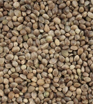 Семена конопли 0,2 кг