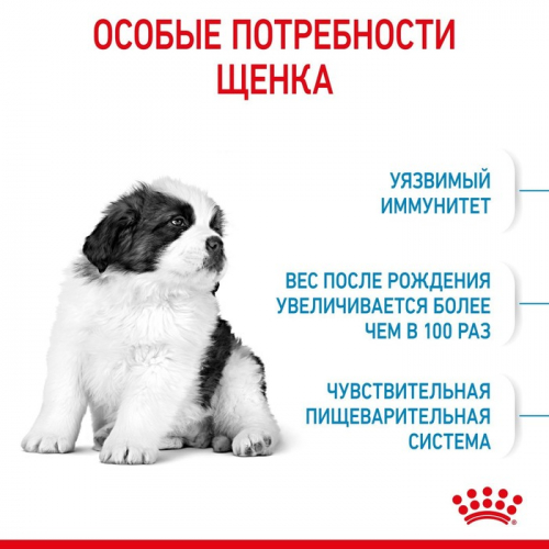 УЦЕНКА Сухой корм RC Giant Puppy для щенков, 15 кг (до 31.05.24)