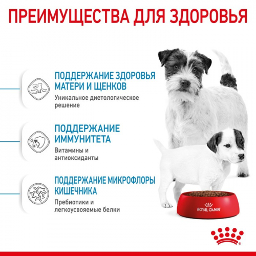 Сухой корм RC Mini Starter для кормящих собак и щенков, 3 кг