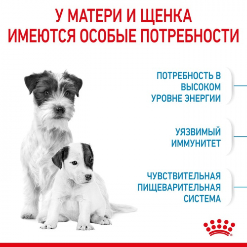 Сухой корм RC Mini Starter Mother & Babydog для щенков, 1 кг