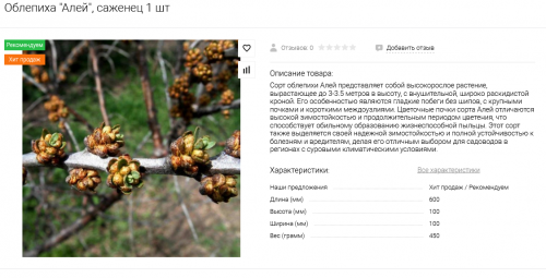 алей. Облепиха