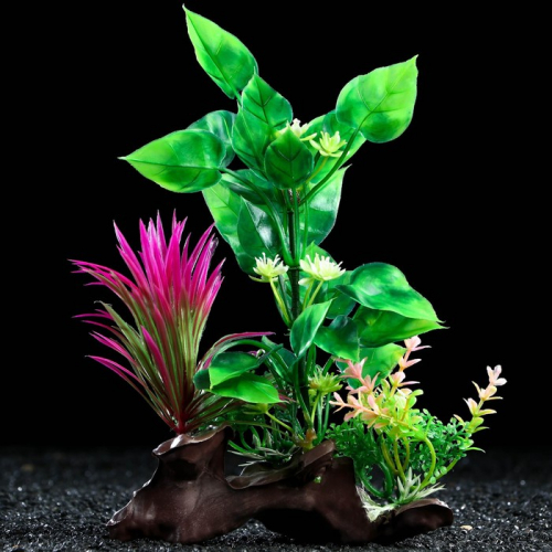 Растение искусственное аквариумное на платформе в виде коряги, 18 см, зелёно-розовое