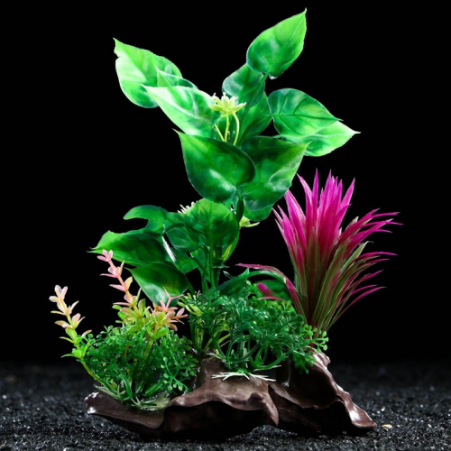 Растение искусственное аквариумное на платформе в виде коряги, 18 см, зелёно-розовое