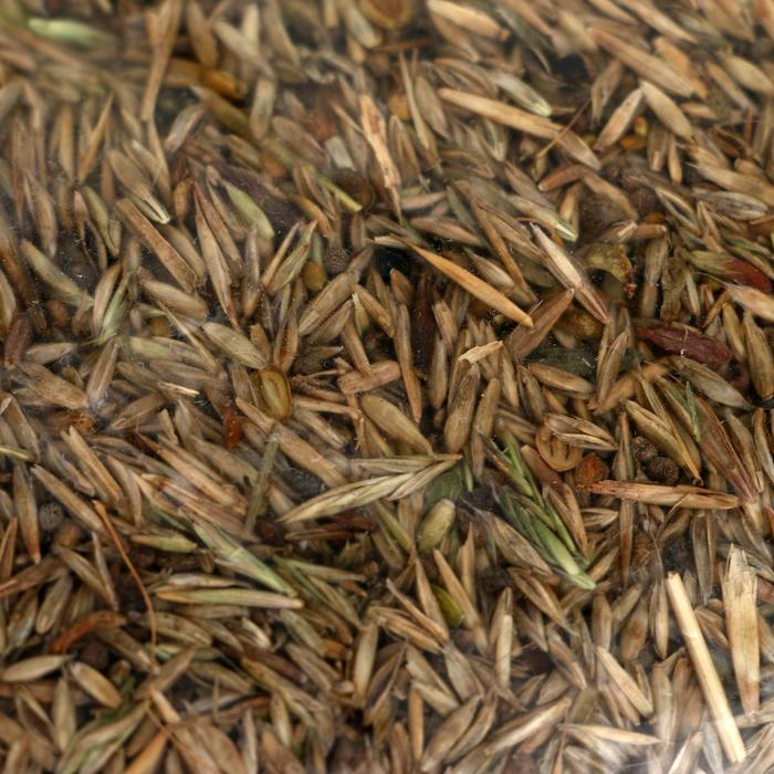 Газон «Универсальный» 1 кг