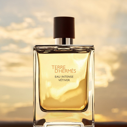 Мужская парфюмерия   Hermès Terre D Hermes Eau Intense Vetiver for men 100 ml A-Plus