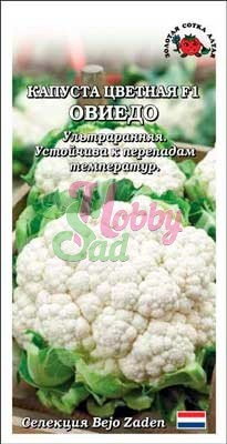 Капуста Овиедо F1 цветная (8 шт) Сотка