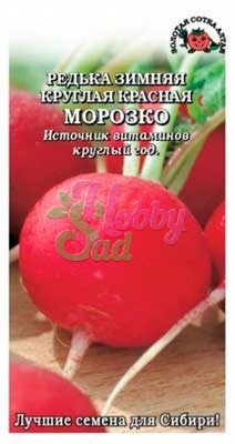 Редька Морозко красная зимняя (1 г) Сотка