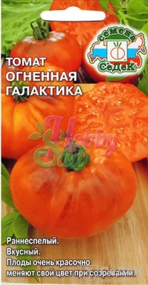 Томат Огненная Галактика (0,1 г) Седек