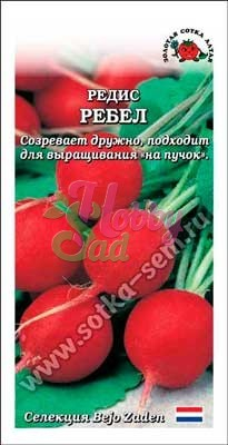 Редис Ребел ранний (1 г) Сотка