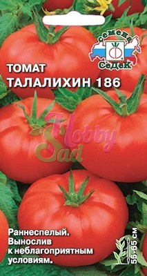 Томат Талалихин 186 (0,2 г) Седек