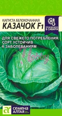 Капуста Казачок F1 б/к (0,1 гр) Семена Алтая