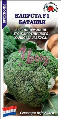 Капуста Батавия F1 брокколи (10 шт) Сотка