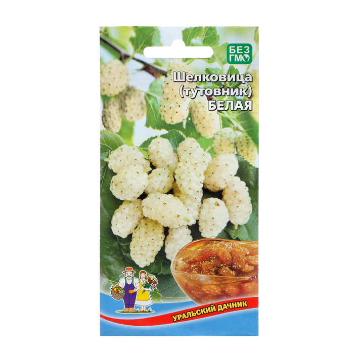 Семена Шелковица