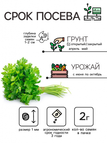 Семена Петрушка 