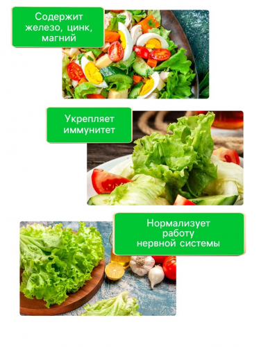 Семена Салат 