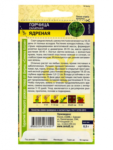 Семена Горчица 