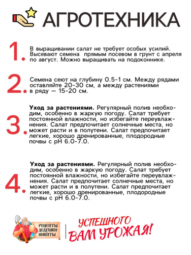 Семена Салат 