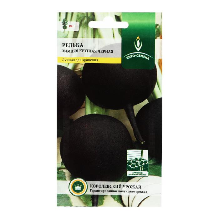 Семена Редька