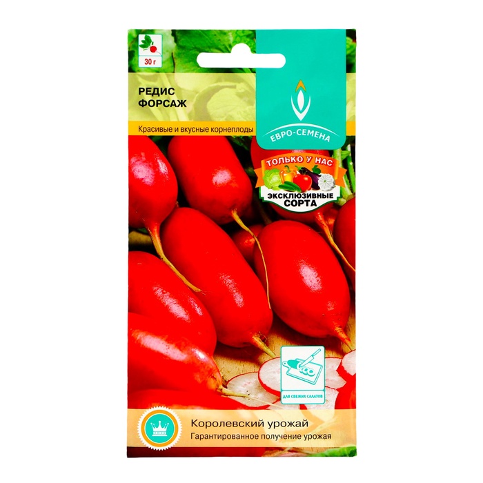 Семена Редис