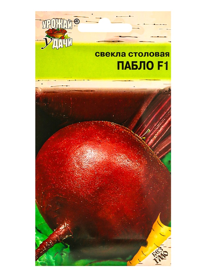 Семена Свекла