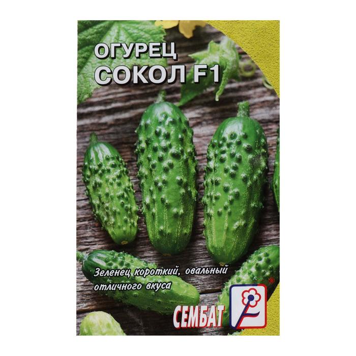 Семена Огурец