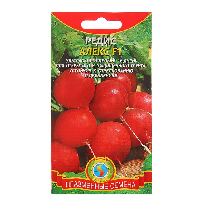 Семена Редис