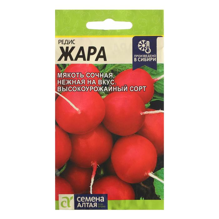 Семена Редис