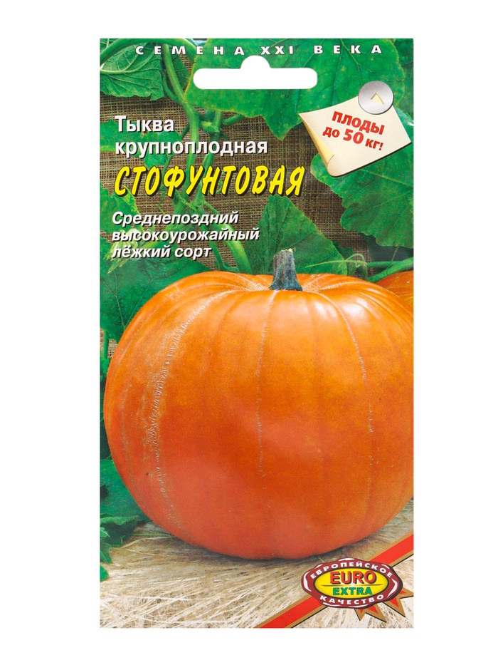 Семена Тыква