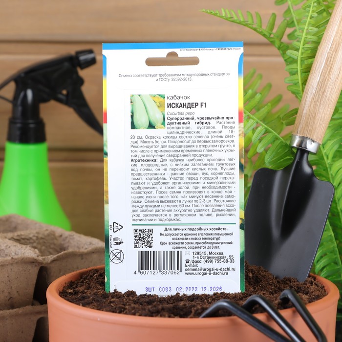 Семена Кабачок