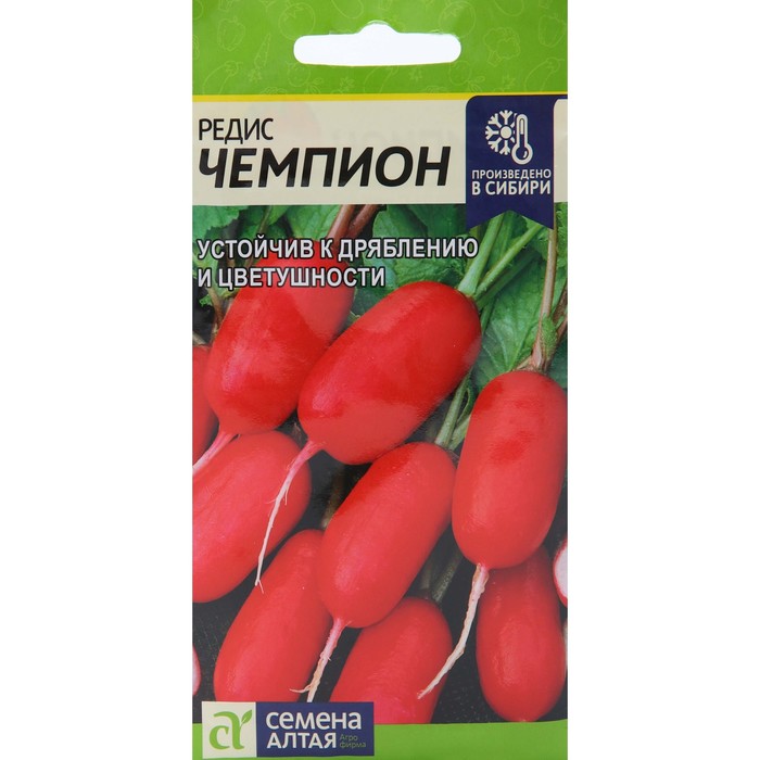 Семена Редис