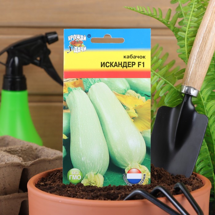 Семена Кабачок