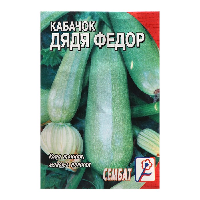 Семена Кабачок