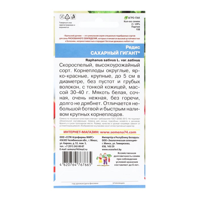 Семена Редис