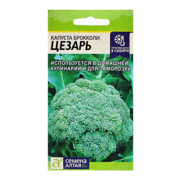 Семена Капуста